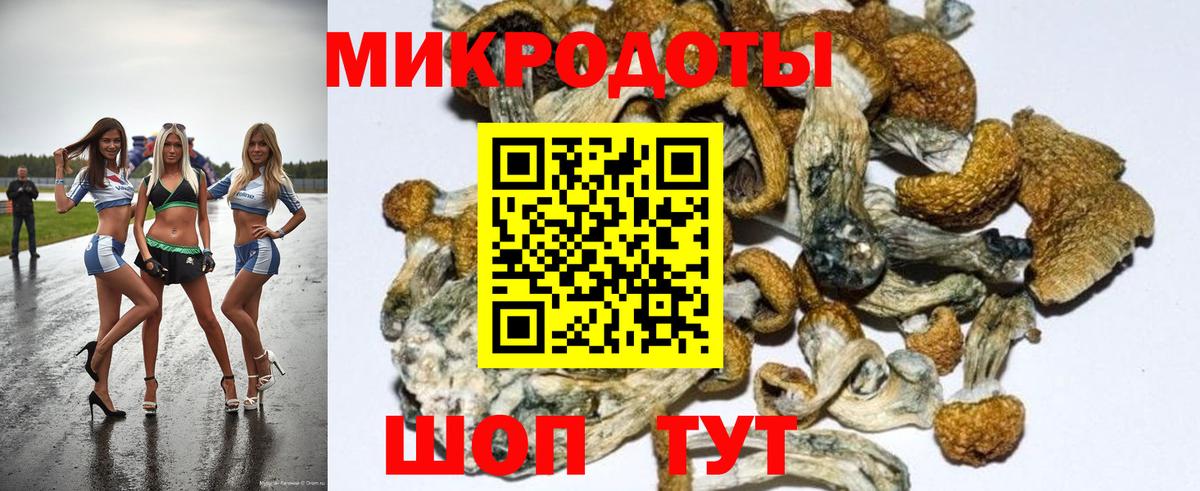 Псилоцибиновые грибы прущие грибы Котельники